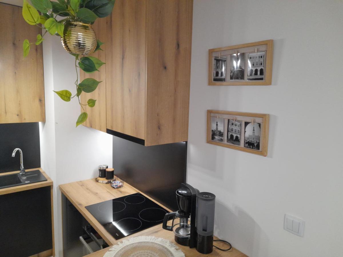 Apartament Amelia Zamość Exteriör bild
